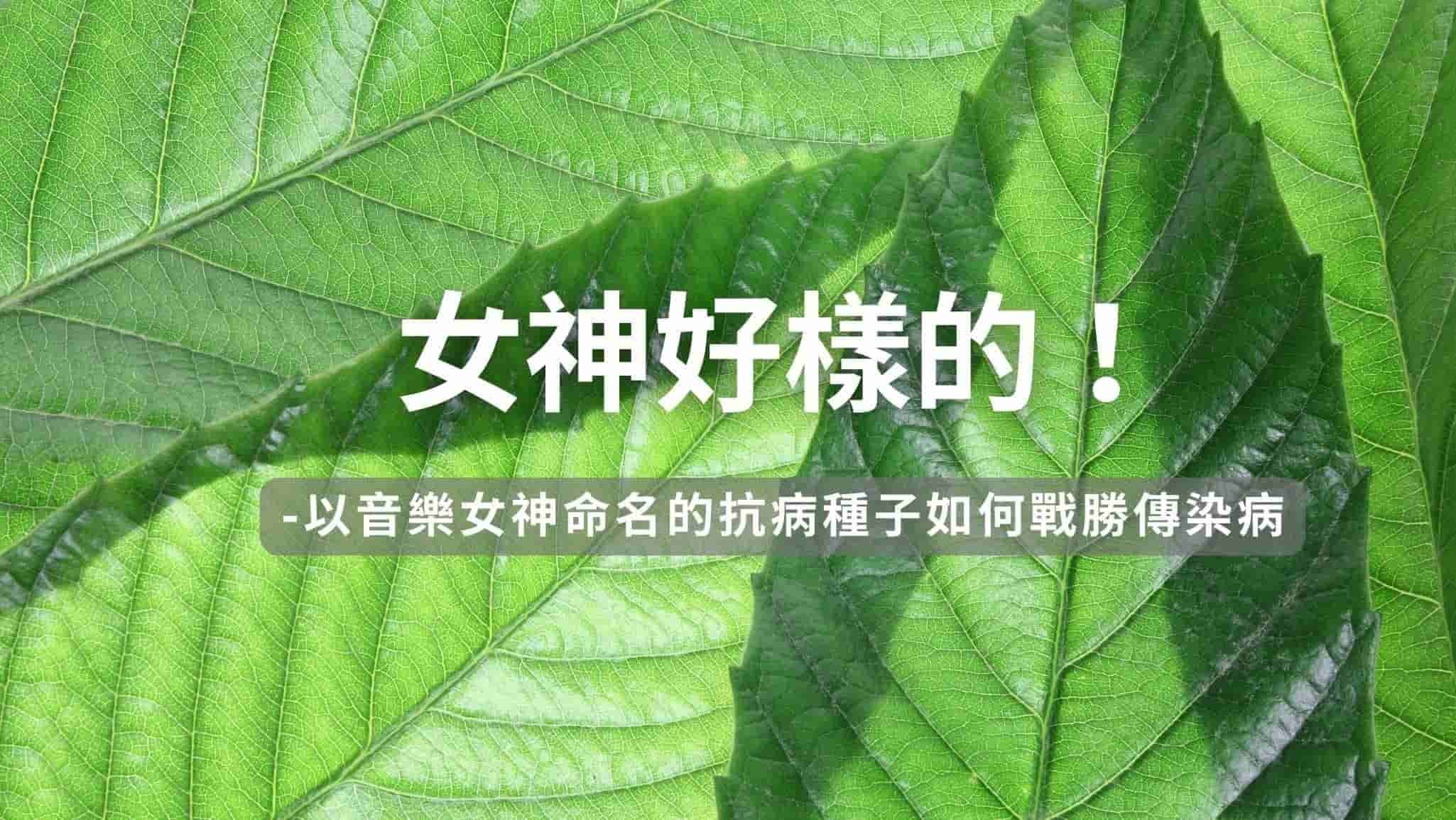 女神好樣的！